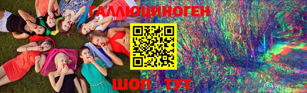 Благодарный  Галлюциногенные грибы Psilocybine cubensis  Вход с VPN 